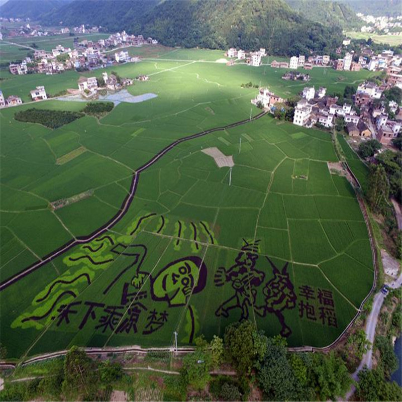 灌陽縣灌陽縣