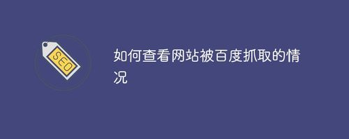 如何查看網(wǎng)站被百度抓取的情況？